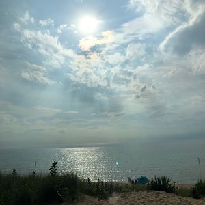 Meet your Posher, Ella